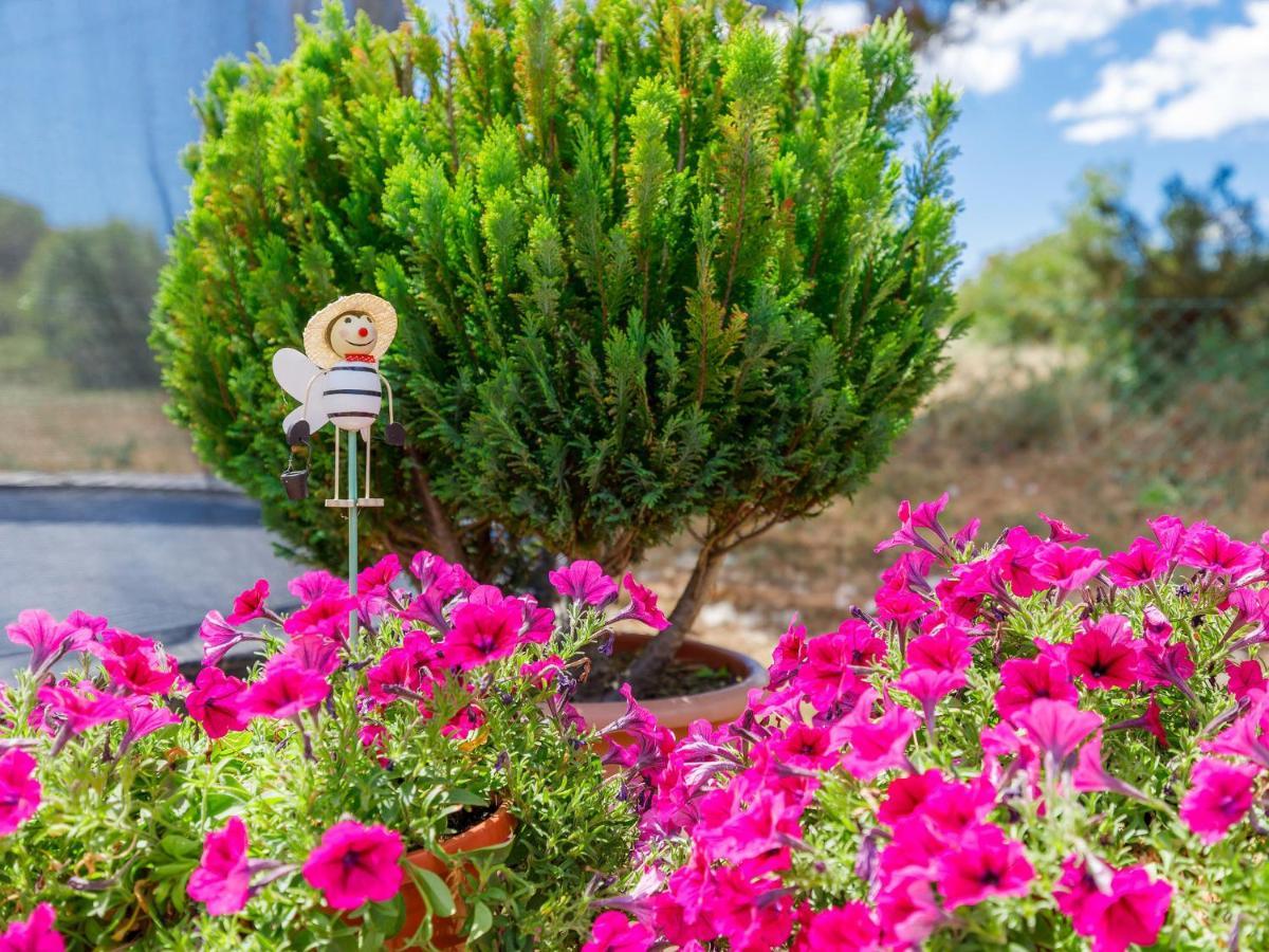 Holiday Home Laura Pula Exterior foto